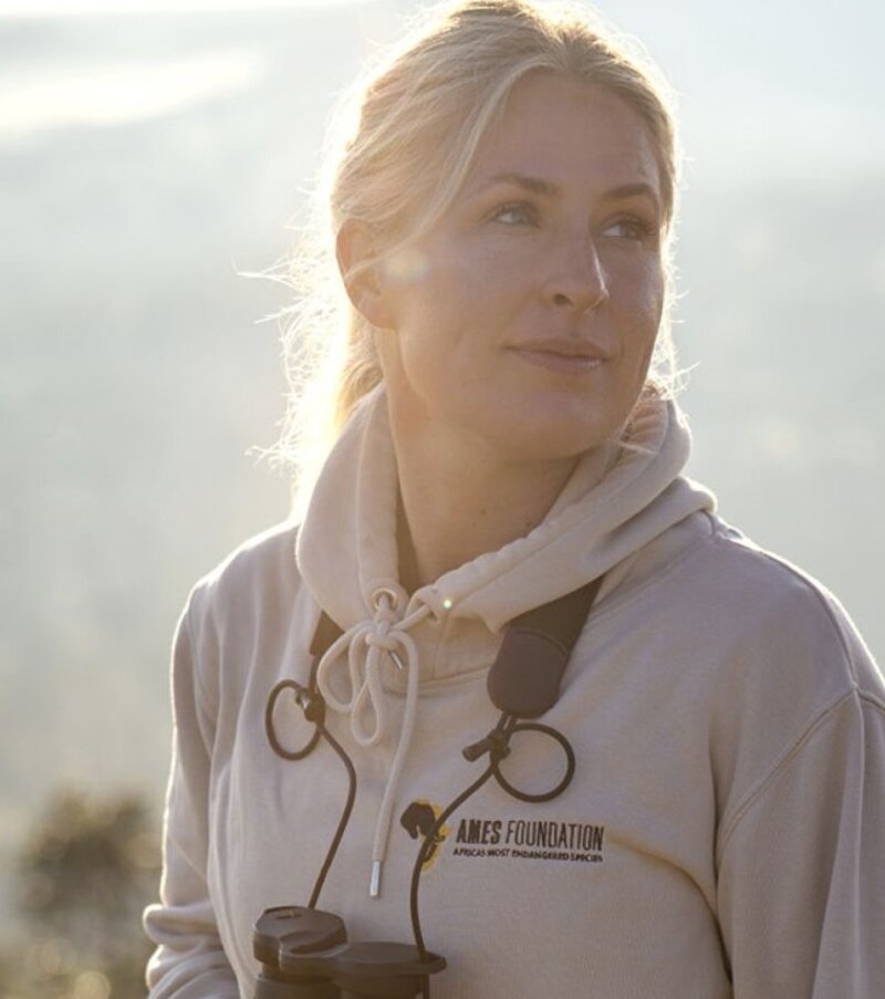 Fünf Fragen an Wandlay